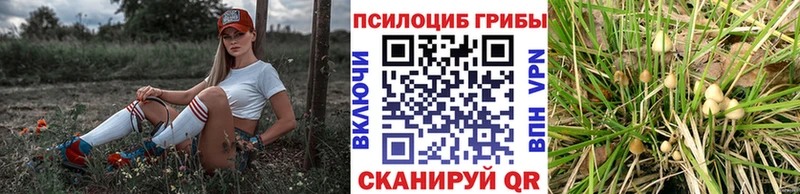 Галлюциногенные грибы Cubensis  купить   OMG маркетплейс  Миасс 